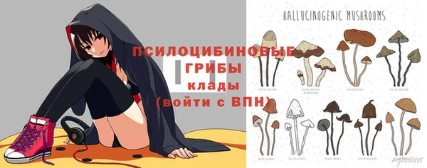 ешки Алексин