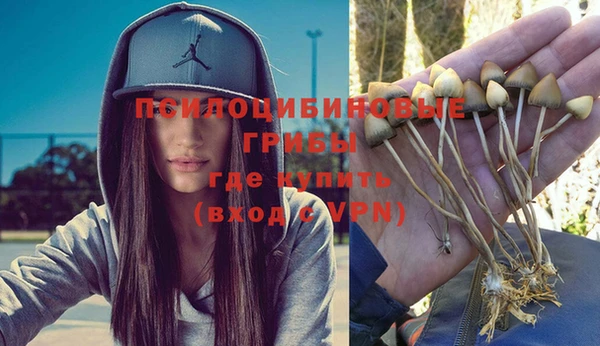 герыч Алзамай