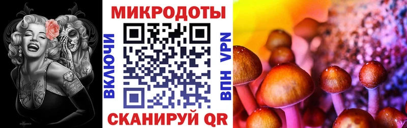 mega зеркало  Всеволожск  Псилоцибиновые грибы ЛСД 
